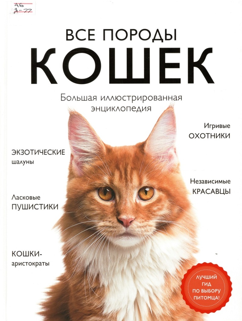 Все породы кошек — Централизованная библиотечная система Новосибирского  района